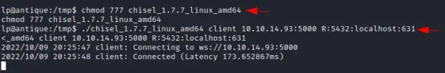 Chisel как использовать Kali Linux